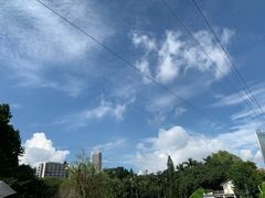 -晓港公园