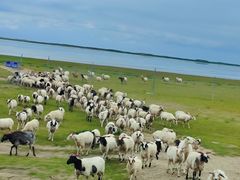 -青海湖国家重点风景名胜区
