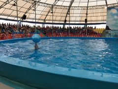 -尼莫海豚馆