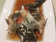 -王宝和酒家(黄浦店)