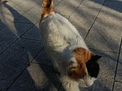 -北京石刻艺术博物馆(五塔寺)