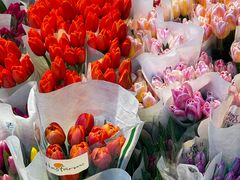 -循礼门鲜花花市(武汉循礼门店)