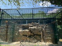 -泉州海丝野生动物世界