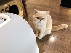 -Double cafe