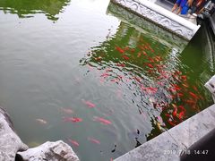 -口岸雕花楼