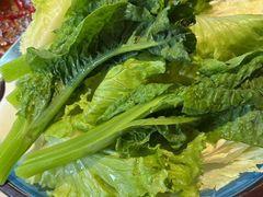 蔬菜拼盘-红鼎坊·老成都火锅(新南门店)