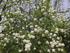 -白塘生态植物园
