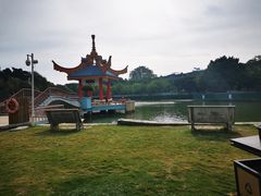 -金砂公园