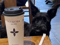 -肖肖酸萝卜鱼火锅(总店)