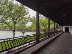-无锡蠡湖国家湿地公园-蠡园