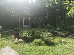 -深圳国际园林花卉博览园