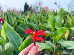-南海子公园