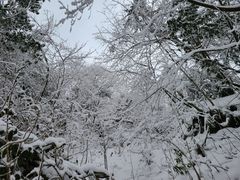 -九峰山