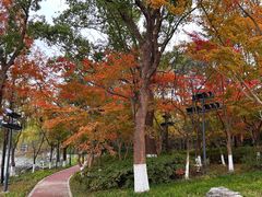 -金鸡湖桃花岛
