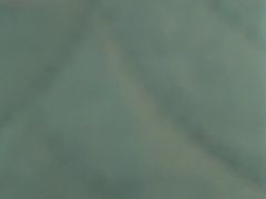 -严氏重油烧麦(民权路店)