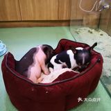 一年1°的六一儿童节是小孩子的节日。