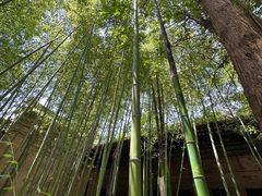 -西安关中民俗艺术博物院