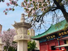 -天津大悲禅院