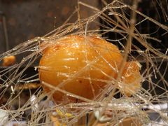 拔丝榴莲-北平盛世·新京菜·北京烤鸭(劲松·双井店)