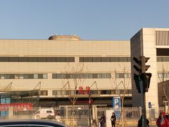-首都医科大学附属北京天坛医院