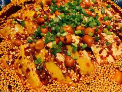 -川味堂·四川豆花(八卦岭店)