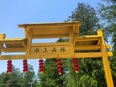 -渌洋湖湿地公园