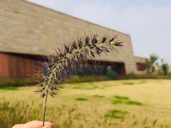 -盘龙城国家考古遗址公园