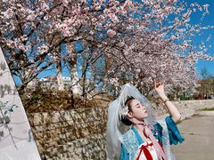 -天津东丽湖风景区