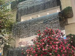 -赛格国际购物中心(小寨店)