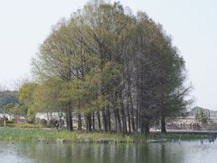 -海天湖公园