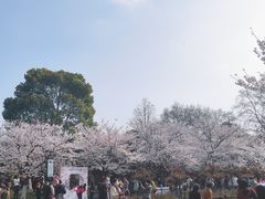 -堤角公园