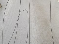 -奥体中心(地铁站)