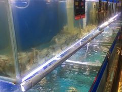 水产区-船梆煮•蒸汽海鲜·炉火烤肉(五四广场店)