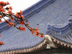 -广州中山纪念堂