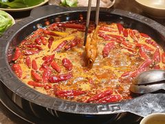 -渝大狮毛肚老火锅(遂宁万达店)
