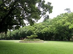 -中山大学学者灵芝(园南路店)