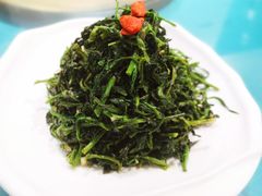 清香枸杞苗-国强手抓(北京西路店)