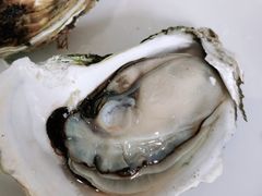 -后田海鲜餐厅(南澳香湖湾店)