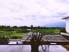 -翠田Green Field Kitchen