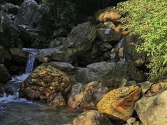-南海湾森林生态园