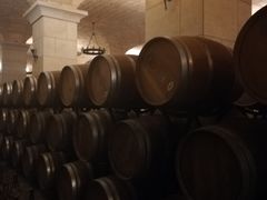 -北京张裕爱斐堡酒庄