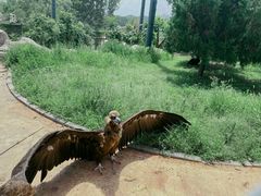 -石家庄市动物园