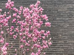 -北京明城墙遗址公园