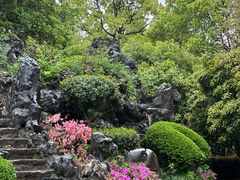 -上海鲜花港