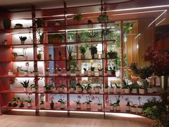 -二酉书店TOYOU BOOKS