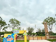 -杭州湾海上花田景区