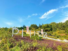 -UNIUNI(凯瑟琳广场店)