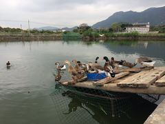 -英姐农家乐
