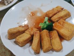 -水上鱼当家