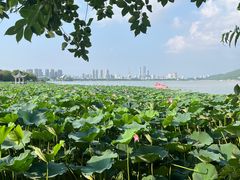 -云龙湖旅游景区